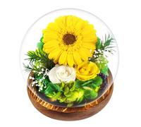 Touloube Cadeau la Fête des Mères pour Femmes - Rose Eternelle sous Cloche avec LED Pine Base et Carte de Voeux, Naturelle Tournesols, Idee Rosee Présent pour Elle, Maman Amie Épouse Sœur Mamie