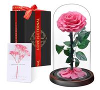 Touloube Cadeaux Femmes pour la Saint-Valentin - Rose Éternelle sous Cloche, Naturelle Fleur Eternelle Cadeau, Idée Boite Rose Eternel, Cadeau pour Anniversaire, Femme,Copine,Amie,Maman,Grand Mere