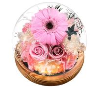 Touloube Éternelle Rose & Gerbera sous Cloche, Fleurs Préservées Naturelles avec Lumière LED, Base en Bois de Pin et Carte de Voeux - Cadeau Femme, Maman pour Fête des Mères, Anniversaire