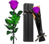 Touloube Rose Eternelle Préservée Cadeau pour Femmes pour la Saint-Valentin, Fleur Violette Cadeau Femme, Idee Rosee Présent pour Elle, Maman Amie Épouse Sœur Mamie, Cadeau Amour Saint-Valentin