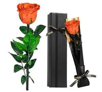 Touloube Rose Eternelle Préservée, Fleur Orange Cadeau Femme, Idee Rosee Présent pour Elle Maman Amie Épouse Sœur Mamie, Cadeaux Amour Fete des Meres, Saint-Valentin, Anniversaire, Noel