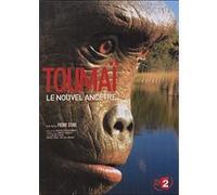 Toumaï, le nouvel ancêtre E