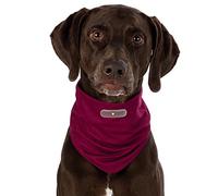 Tour de Cou Bordeaux antiparasitaires pour Chien Insect Shield XL