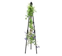 Tour de grimpantes - En acier - 80 cm - Équipement de support de fleurs de jardin - Guide décoratif pour légumes - Embellissement extérieur - Pousse des pois - Unité de stabilisation des