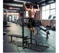 Tour de musculation multifonction avec barre de traction, station à dips et banc, hauteur réglable 154-207 cm noir