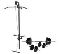 Tour de Musculation Murale avec Jeu d'Haltères et Poids 60,5 kg Fitness vidaXL
