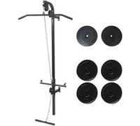 vidaXL Tour de musculation murale avec plaques de poids 40 kg - acier solide - noir