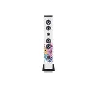 Tour de son Bluetooth avec radio FM, lecteur USB et SD IBT-6 Zebra Blanc