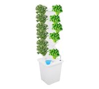 Tour hydroponique 30 capsules 6 étages Système de culture hydroponique | Système hydroponique IPX 8, vertical Smart Garden, hydroponique avec pompe et LED, économe en énergie