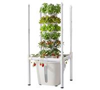 Tour Hydroponique à 6 Niveaux-Duoku-avec 30 Emplacements, Système de Culture pour Herbes, Fruits et Légumes, Lampe LED