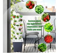 Tour hydroponique, Tour de culture hydroponique avec réservoir, Culture maraîchère, 6 étages avec 30 trous