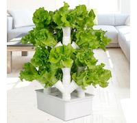 Tour hydroponique, Tour de Culture Verticale, Tour pour Plantes potagères, kit de Culture hydroponique 2/3/4 colonnes, Grow Sys-TEM, Cadeau pour Les Amateurs de Jardinage - Culture à domicil