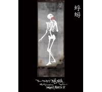 Tour'06-'07 Final:Kagero Last [Import allemand]