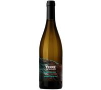Touraine Sauvignon Blanc 2025 - Terre de Roches