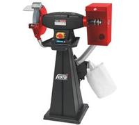 Touret combiné FEMI 199 EVO - 1500 W Triphasé - Ø 250x35x25 mm - Sans meule, ni brosse - 8005832 G