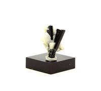 TOURMALINE SCHORL - Pierre Naturelle en Provenance du Pakistan, Shigar Valley, Skardu District Cristal Noir Brillant et Puissant 39.5 ct - Certificat d'Authenticité Inclus 30 x 20 x 20 mm Noir G