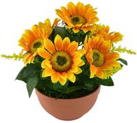 Tournesol 7 fleurs dans un bol en terre cuite Ø24/26 cm
