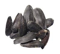 Tournesol Bio - Helianthus Annuus L. (Engrais Vert) SEM06 (15 grammes)