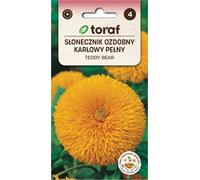 Tournesol complet ornemental TEDDY BEAR 2g