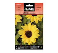 Tournesol Jaune Nain