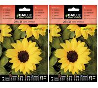 Tournesol Jaune Nain (Lot de 2)