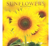 Tournesols | Calendrier mural mensuel carré 2025 30,5 x 61 cm | Couverture estampée | Platon | Fleur florale Plante extérieure Nature