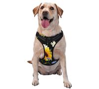 Tournesols Camomille Imprimé,Harnais pour Animaux de Compagnie, Harnais réfléchissant réglable pour Chien,M