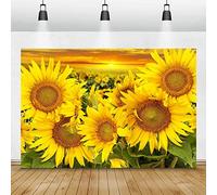 Tournesols Coucher de Soleil Nature pittoresque Lumière Bokeh Chambre Decro Photographie Arrière-Plans Toile de Fond Photographique pour Studio Photo / 210x150