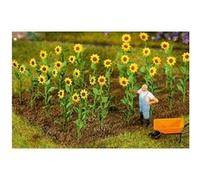 Tournesols Faller Ho G