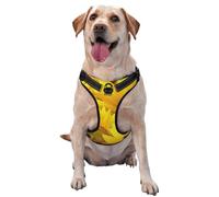 Tournesols Fleurs Jaunes Imprimées,Harnais pour Animaux de Compagnie, Harnais réfléchissant réglable pour Chien,S