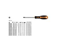 Tournevis pour vis Torx avec trou TX10 x 80
