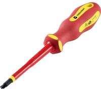 Tournevis Pozidriv/à fente TOOLCRAFT TO-6326250 Taille (tournevis) SL/PZ 2 Longueur de la lame: 100 mm 1 pc(s)