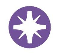 Tournevis bois fente PZ2 100 mm SAM - TW2PZH100 G