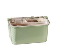 Tousse de Maquillage Boîtes De Rangement en Plastique À 2 Couches for Vernis Ongles avec Couvercles, Portables Sac Rangement Manucure(Grün)