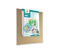 Tout au sycomore aqua