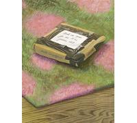 Tout ce que je ne t'ai jamais dit - Maïté Grandjouan - Fremok Eds - relié - Bande dessinée