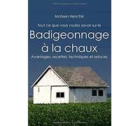 Tout Ce Que Vous Voulez Savoir Sur Le Badigeonnage À La Chaux Avantages, Recettes, Techniques Et Astuces: Badigeonnage À La Chaux Avantages, Recettes, Techniques Et Astuces