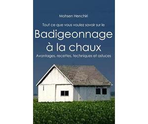 Tout ce que vous voulez savoir sur le Badigeonnage à la chaux Avantages, recettes, techniques et astuces: Badigeonnage à la chaux Avantages, recettes, techniques et astuces