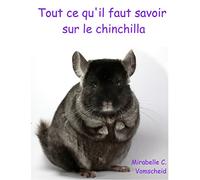 Tout ce qu'il faut savoir sur le chinchilla