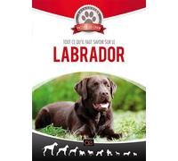 Tout Ce Qu'il Faut Savoir Sur Le Labrador