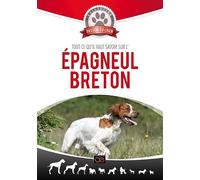Tout ce qu'il Faut Savoir sur l'épagneul Breton