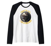 Tout d'abord, t-Shirt Im A Delight, Funny Opossum, Angry Opossum Manche Raglan