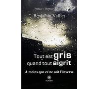 Tout est gris quand tout aigrit: À moins que ce ne soit l'inverse