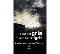 Tout est gris quand tout aigrit À moins que ce ne soit l'inverse - Benjamin Valliet - Le Lys Bleu - broché - Roman