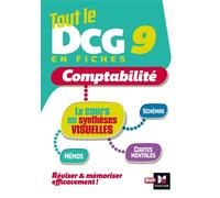 Tout Le Dcg 9 En Fiches - Comptabilité