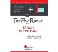 Tout pour réussir en droit du travail Meghraoui k. (Auteur)
