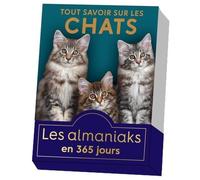 Tout Savoir Sur Les Chats