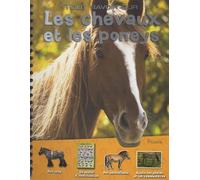 Tout savoir sur les chevaux et les poneys
