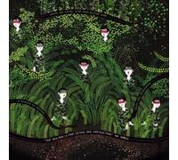 Tout Seul Dans La Forêt En Plein Jour Avez-Vous Peur?