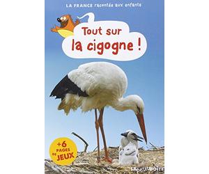 TOUT SUR LA CIGOGNE! L ALSACE